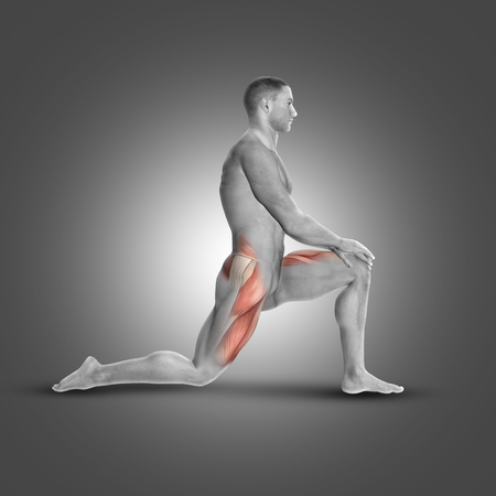 59290856 - 3d render of a male figure in kneeling iliopsoas stretch highlighting muscles used